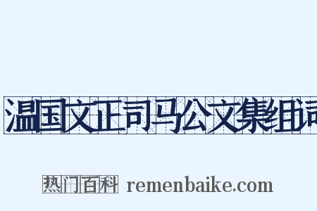 温国文正司马公文集组词是什么意思的图片